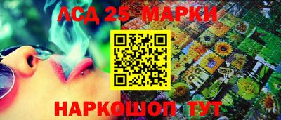 индика Камышлов