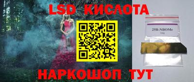 индика Камышлов