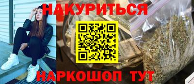 индика Камышлов