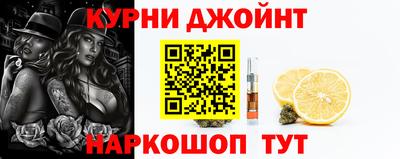 индика Камышлов