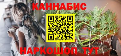 индика Камышлов