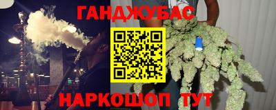 индика Камышлов