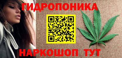 индика Камышлов