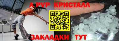индика Камышлов