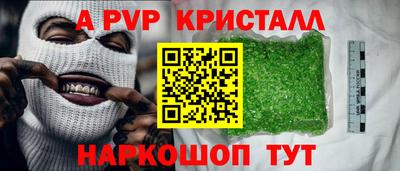 индика Камышлов