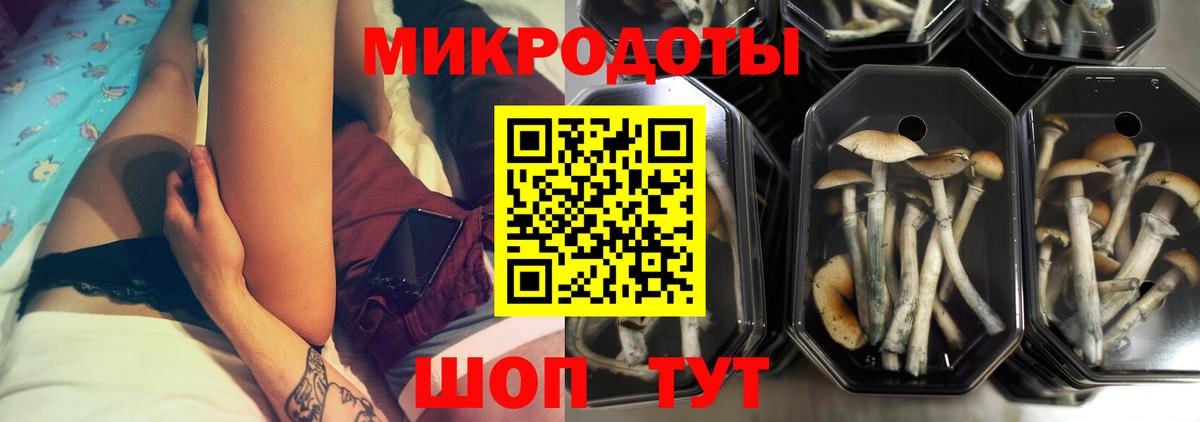 Лыткарино  Псилоцибиновые грибы прущие грибы  Вход с VPN 